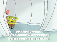 season 5 GIF by SpongeBob SquarePants