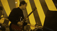 sonicseagirls music cool festival guitar GIF