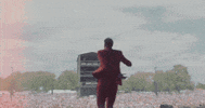 sonicseagirls music cool festival guitar GIF
