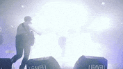 sonicseagirls music cool festival guitar GIF