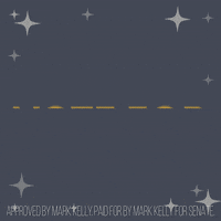 Full Speed Ahead Vote GIF by Captain Mark Kelly