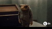 Hungry Puerto Rico GIF by 8it