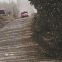 Fast Car Chile GIF by FIA World Rally Championship