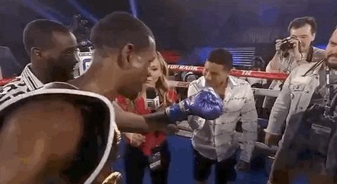 toprank giphyupload boxing fighting champion GIF