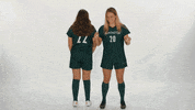Huntington University GIF by FDN Sports