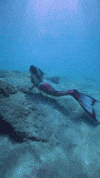 Finfolk GIF by Mermaid Sirenity