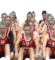 Basket_fi sport basketball team hoops Sticker