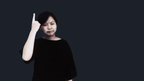 sign language sgsl GIF