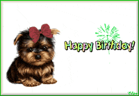 CuteAnimations  GIF