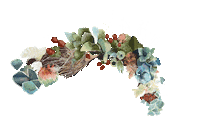 Wildflower Slowliving Sticker by MadgenFou