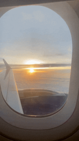 TOURCENTERDO travel plane airplane tour GIF