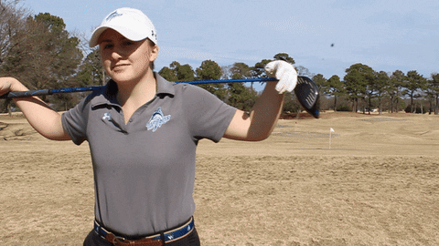 vwu_marlins giphyupload marlins vwu wethebeach GIF