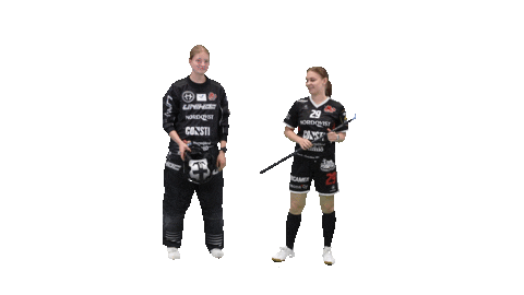 Floorball Salibandy Sticker by F-liiga