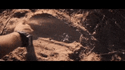 video dragon GIF by Polyvinyl Records
