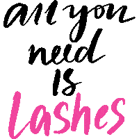 All You Need Lashes Sticker by Lash Moi