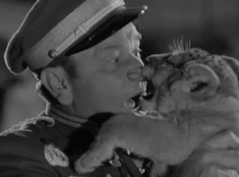yelling classic film GIF by Warner Archive