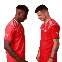 Celebrating Granit Xhaka Sticker by Swiss Football Association