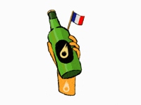BiereMeteor party friends omg beer GIF