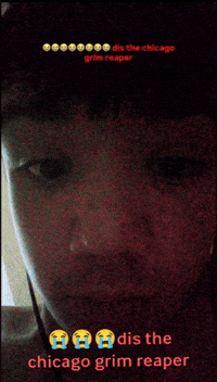 Pato GIF