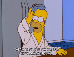 homer simpson GIF
