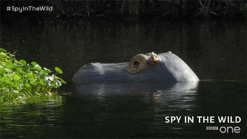 bbc one GIF by BBC