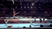 GIF by FIG Gymnastics