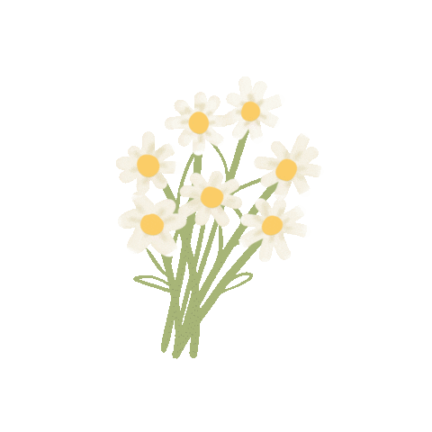 Flower Daisy Sticker by True To Skin