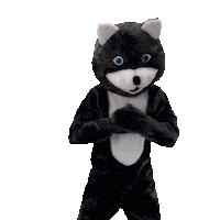 Aracaju Sergipe Sticker by Kitty Lima