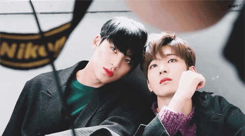 tintuckpop giphyupload GIF