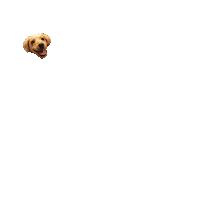 Happy Birthday Dog Sticker