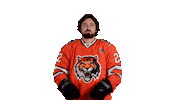 Celebration Hockey Sticker by HC Amur