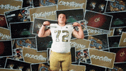 Georgia Tech Football GIF by Georgia Tech Yellow Jackets