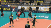 Olympics Volley GIF by CEV - European Volleyball