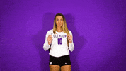 Clemsonvb Championshipbehavior GIF by Clemson Tigers