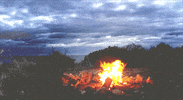 Fire Perfect Loop GIF