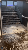 Floodwater Pours Down Stairs at Coors Field as Hailstorm Delays Rockies-Dodgers Game