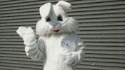 subpoprecords animation trippy sub pop subpop GIF