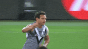 Steven Motlop Football GIF by Port Adelaide FC