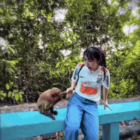 Rayxonmi GIF