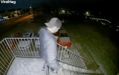 Guy Slips And Slides Down Icy Stairs GIF by ViralHog