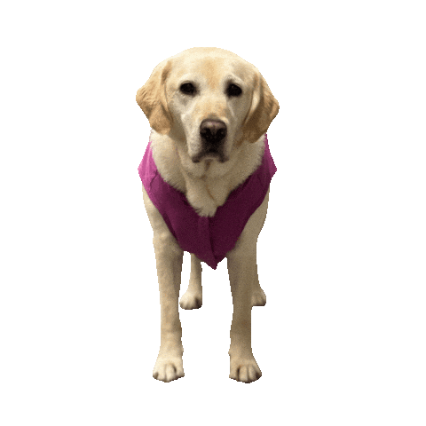 Casey Sticker by OHSU