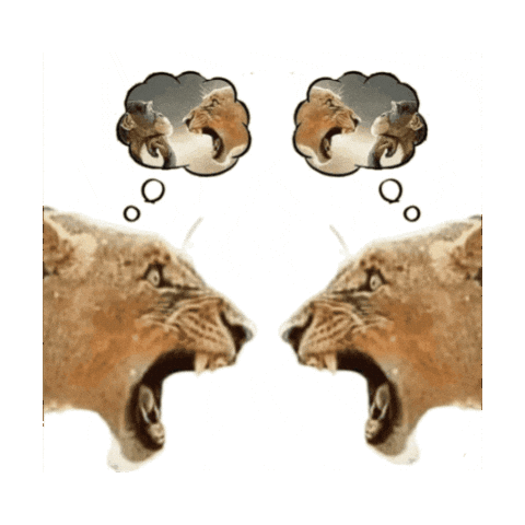 Thinking Looking At A Mirror Sticker