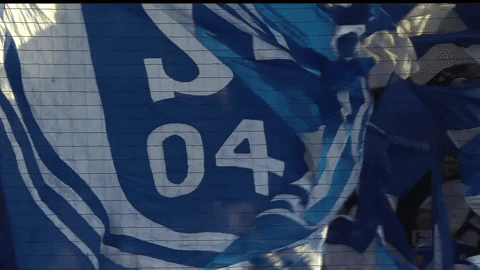 Football Soccer GIF by FC Schalke 04
