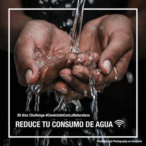 naturaleza GIF by WWF Chile