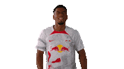 Happy Benjamin Henrichs Sticker by RB Leipzig