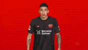 Bayer Leverkusen GIF by Bundesliga