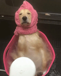 Cute GIF