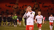 Clapping Fans GIF by Fleetwood Town Football Club