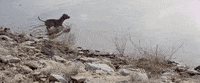 lukebryan luke bryan huntin fishin and lovin every day GIF