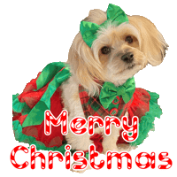 Merry Christmas Sticker by Pimp Yo Pets